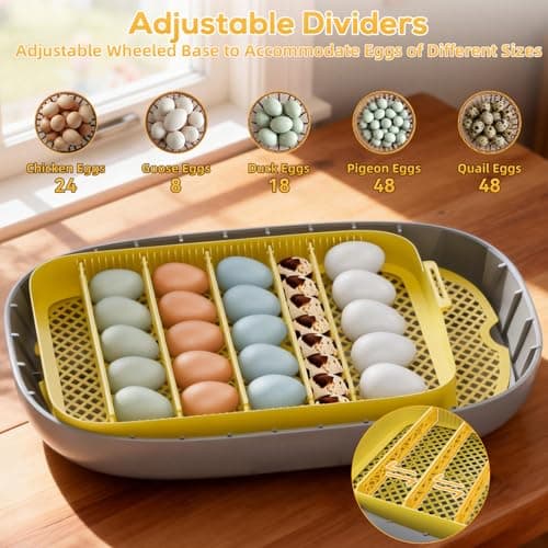 IBKINXX Incubator for Hatching Eggs-24 Egg Capacity, Automatic Egg Turner, Temperature & Humidity Control, 360° Viewing for Chicken, Duck and Quail Eggs - Thumbnail 4