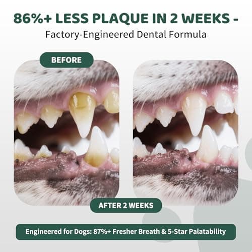 Vialoe Dog Teeth Cleaning Powder 200g – Enzymatic Plaque & Tartar Remover with Probiotics 0.5B CFU – Natural Brown Algae & Green Tea for Fresh Breath – Dental Powder for All Dogs, 90-Day Supply - Thumbnail 4