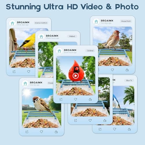 BROAIMX Bird Feeder with Camera-Free AI Forever for 1,1000+ Birds Identification, 2K HD & 5MP Night Vision, Record Video Live View, 64GB Card, App Alerts, Gifts for Bird Lovers - Thumbnail 4