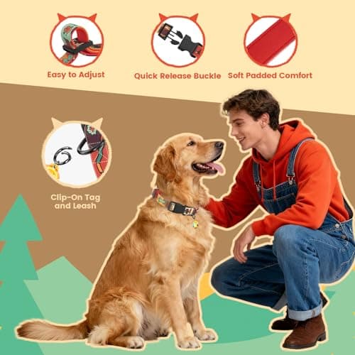 PawView Dog Collar and Leash Set, QR Tag Adjustable Pet Collar, 5 FT Heavy Duty Dog Leash, Padded Handle, Quick Release Buckle, Metal Ring, 360° Swivel Clip for Medium Dogs Walking Running (Red, M) - Thumbnail 3
