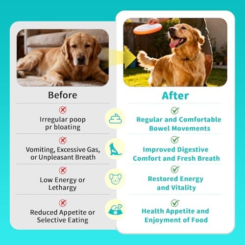 Probiotics for Dogs, Digestive Enzymes & Pumpkin Fiber for Gut Health and Bowel Support, Dog Supplement for Gas Relief & Constipation, 10B CFU with 5 Prebiotics & 5 Enzymes, 90 Count Beef Flavor - Thumbnail 4
