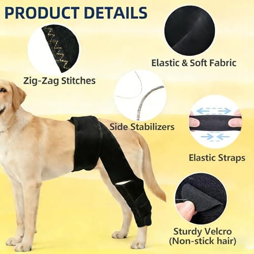 EGBULL Dog Hind Leg Support Brace - Thumbnail 4