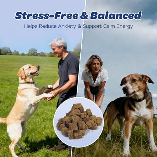 xiderdl Calming Chews for Dogs – Relaxation & Stress Support with Chamomile, Valerian Root, L-Theanine, Passionflower & Ashwagandha – Calming Support with Glucosamine, Chicken Flavor, 120 Count - Thumbnail 4