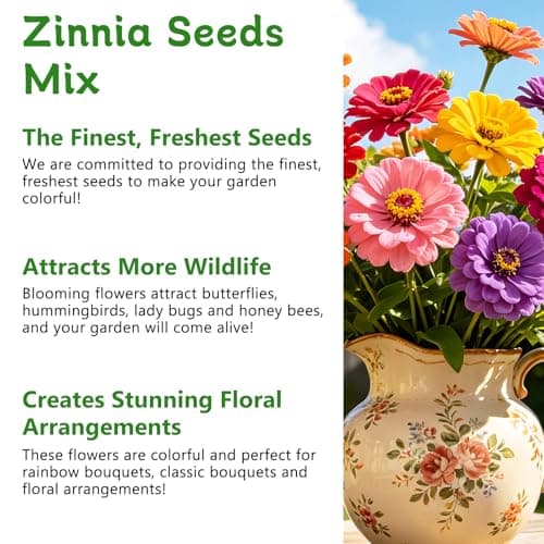 LUOJIBIE Zinnia Seeds for 2026, 10,000+ California Giant Zinnia Seeds Bulk, Double Dahlia Zinnia Mixed Color Seeds, Flower Seeds for Planting Outdoor Garden, Non-GMO Heirloom, Easy to Grow - Thumbnail 4