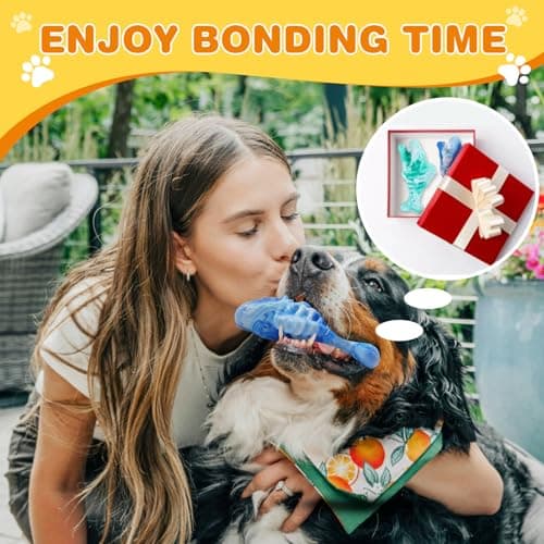BoYoYo Tough Dog Toys for Aggressive Chewers 2 Pack, Indestructible Dog Toys to Keep Them Busy, Beef Flavor, Nylon Dog Chew Toys for Small, Medium and Large Dogs, Blue & Green - Thumbnail 5