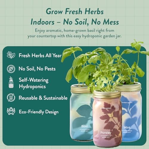 Modern Sprout Garden Jar Gift Pack - Self-Watering Hydroponics Growing System Kit with Organic Herb Seeds - Seed Starter Kit for Indoor Herb Garden - Home Decor & Gifting - Basil, Parsley & Mint - Thumbnail 2