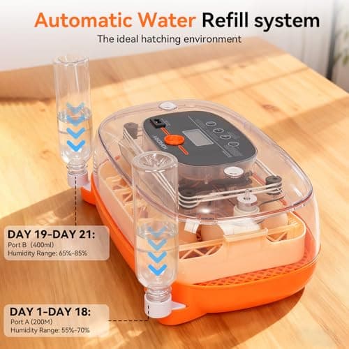 Incubators for Hatching Eggs, 24 Egg Incubator, Automatic Egg Turner with Humidity Control & Digital Temperature, Hatch Day, Auto Water Refill, 360°Viewing for Chicken, Duck, Quail, Duck, Goose - Thumbnail 4