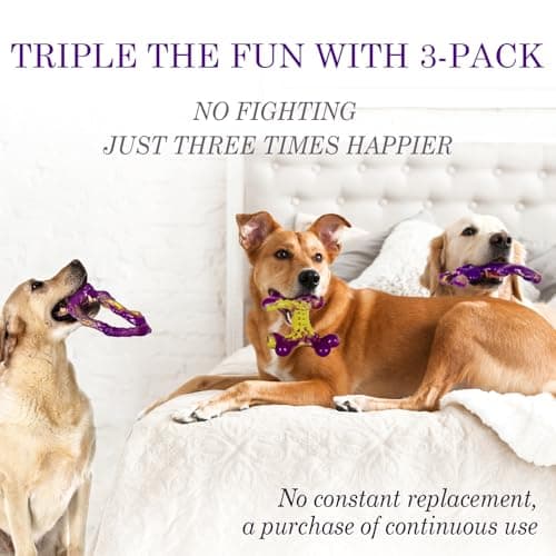 Frienhund Tough Dog Toys for Aggressive Chewers 3 Pack, Indestructible Dog Toys for Large Dogs, Dog Chew Toys, Aggressive Chew Toys to Keep Them Busy, Dog Bones for 15-100lbs Puppy/Medium/Large Breeds - Thumbnail 3