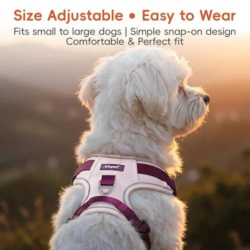 Pink Dog Harness Leash Collar Set, No Pull Reflective Dog Vest Harness with Control Handle, Adjustable Breathable Pet Harness for Small Medium Dogs Walking Training - Thumbnail 5
