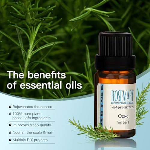 QONG Rosemary Essential Oil Blend, Rosemary Oil, Can be Used for, Hair, Skin, Nails, Aromatherapy Oil& Diffuser Essential Oils- 10ML - Thumbnail 5