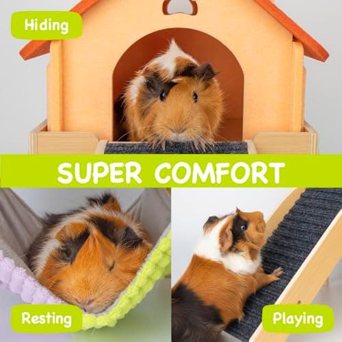 BESNEW 3 in 1 Enlarged Guinea Pig Hammock,Wooden Guinea Pig Hideout with House & Platform & Stairs Small Animal Toys for Hiding Sleeping Activities - Thumbnail 3