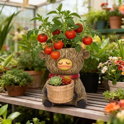 Cute Plant Pots Decor Gifts - Highland Cow Planter with Two Planters Animal Flower Pots with Drainage,Mini Succulent Pot for Home Desk Patio Decorations Outdoor Indoor Plants Pot Gift for Plant Lovers - Thumbnail 4