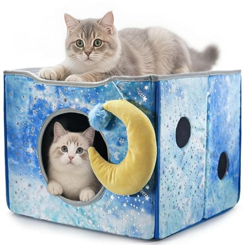CWV Interactive Cat Toys for Indoor Cats, Kitten Toys with Scratch Pad， Cat Hideaway with Peekaboo Holes, Star Cat House Cave with Soft Pillow - Image 1