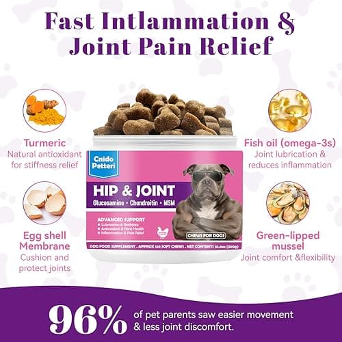 Glucosamine for Dogs Hip and Joint Support - Dog Joint Supplement with Chondroitin, MSM, Turmeric & Omega 3 - Relief for Joint Pain & Inflammation - Mobility & Flexibility - 150 Soft Chews, Chicken - Thumbnail 2