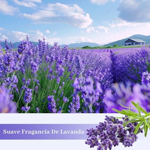 SCENTORINI Scented Drawer Liners for Dresser, 12 Sheets Lavender Scent Drawer Paper Liners,14.3x19.5 Inch Scented Paper Sheets for Home Shelf Closet Bedroom Drawers - Thumbnail 3