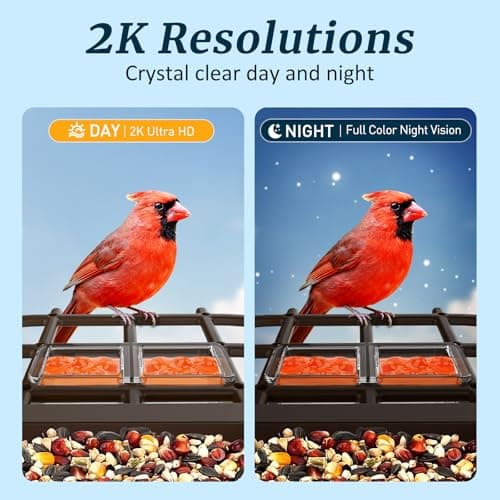 Bird Feeder with Camera, Solar Powered Smart Bird Feeder Camera Outdoor, 2K HD Live Video, Motion Detection Alerts, 2.4GHz WiFi, IP65 Waterproof, Bird Watching Gift for Backyard - Thumbnail 5