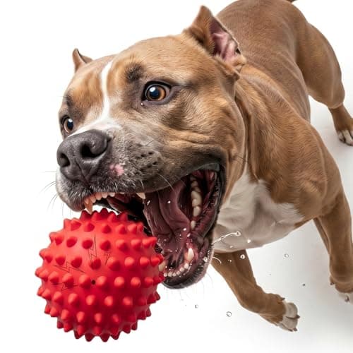 Apasiri Beef-Flavored Durable Dog Ball for Aggressive Chewers, Tough Squeaky Rubber Toy for Pitbulls Large & Medium Breeds