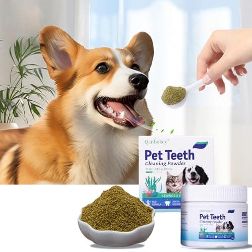 Qanbokey No-Brush Dog Teeth Cleaning Powder, Plaque and Tartar Remover, Breath Freshener for Dogs and Cats, with Enzymes