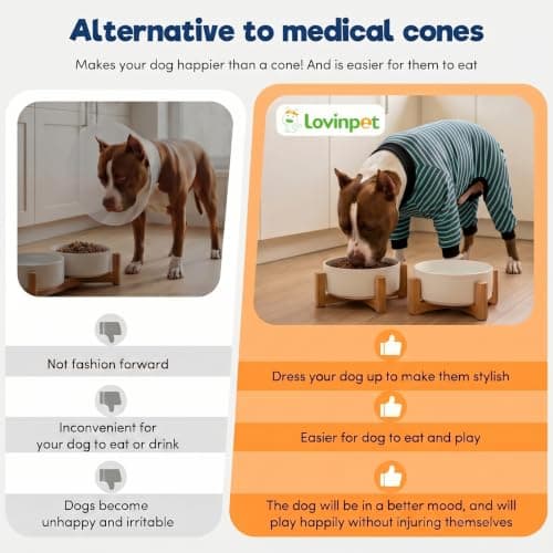 LovinPet Dog PJS Apparel for Large Dogs, Pure Cotton Cyan Blue Stripe Dog Shirt, 4-Legged Design, Full Body Coverage, Pajamas for Pitbulls, Onesies for Dogs, 2XL - Thumbnail 6