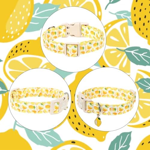 Babole Pet Summer Dog Collar Yellow Lemon Dog Collars for Large Dogs - Lightweight Adjustable Cute Male Female Dogs Everyday Collar with Safety Buckle L - Thumbnail 5