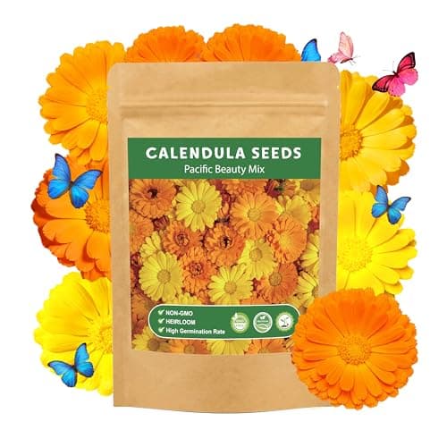 LUOJIBIE Calendula Seeds, Calendula Seeds for Planting Outdoor & Indoor, 4,000+ Pacific Beauty Mix Annual Flower Seeds Bulk, Non-GMO Flower Seeds, Large Blooms, Easy to Grow - Image 1