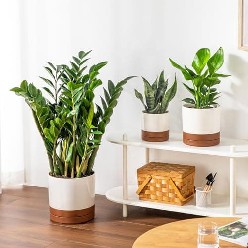 vancasso Ceramic Pots for Plants, Plant Pots for Indoor Plants, 6.25+8.25+10.25 Inch Ceramic Planters, Flower Pots with Drainage Holes, Planters Pot for Indoor House Plant, Set of 3, Khaki - Thumbnail 6