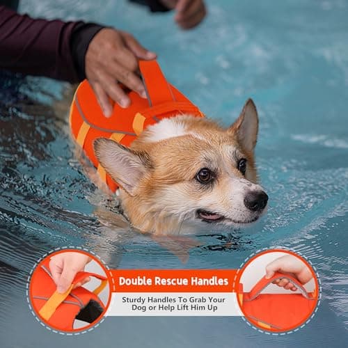 Dogcheer Dog Life Jacket with Double Rescue Handle, Reflective Dog Life Vest for Swimming Boating, Adjustable Pet Swim Vest Dog Flotation Device DFD for Small Medium Large Dogs - Orange L - Thumbnail 2