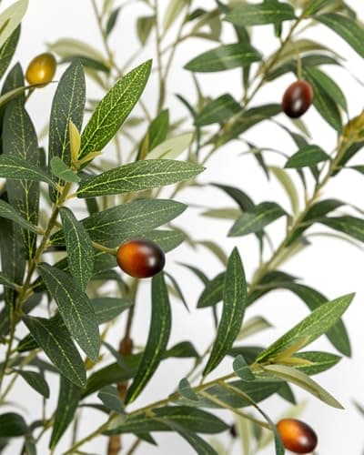 LuceAlberi Artificial Olive Tree 6FT - Tall Faux Olive Trees Indoor with Planter&Cotton Basket, Large Fake Olive Plants Realistic Branches Natural Wood Trunk and Fruits for Home House Office Decor - Thumbnail 6