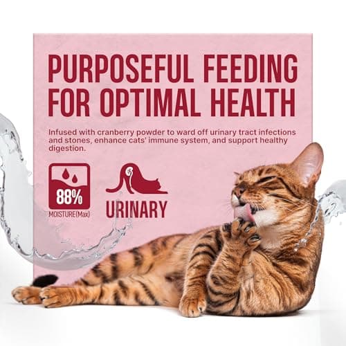 PETPHABET Lickable Cat Treats Spoon, 36 Count Creamy Puree Kitten Treats Chicken Slamon & Cranberry Recipe, Functional Wet Paste Cat Snacks for Urinary Health, Grain-Free Kitty Treat with Taurine - Thumbnail 4