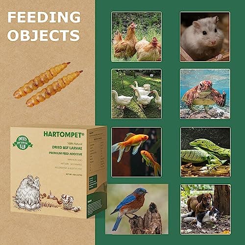 HARTOMPET Premium Dried Black Soldier Fly Larvae for Chickens - 5LB High Calcium Supplement, Molting and Laying Support, Non-GMO & High-Protein Treats, Food for Wild Birds, Ducks, Reptile | Top Grade - Thumbnail 6