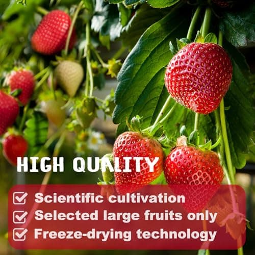 16 Oz/1lb Freeze Dried Strawberries Pieces, Resealable Bucket Dehydrated Strawberry - Premium Dried Fruit Bulk No Added Sugar Snack for Smoothies, Oatmeal, Yogurt, Baking, Dessert & Trail Mix - Thumbnail 6
