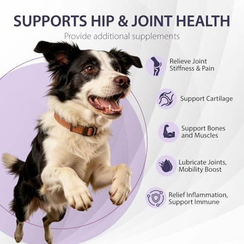 JESNABELULU Joint Care Chews for Dogs-High Levels of Glucosamine, Green Lipped Mussels, Omega 3 and Turmeric - Hip and Joint Supplement for Dogs to Helps Ease Discomfort & Stiffness-150 Soft Chews - Thumbnail 2