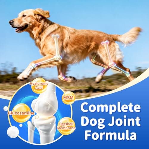 POPPAW Senior Dog Liver & Joint Supplement – Same, Milk Thistle (Silybin), Glucosamine, MSM for Liver Health Detox, Mobility, Joint Pain Relief, Cognitive & Vitality Support, Chicken Flavor, 90Ct - Thumbnail 6