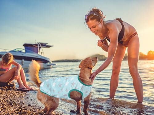 Lightweight Breathable Dog Cooling Shirts, Quick Dry Dog Sunscreen T-Shirt, Professional Pet Summer Vest for Small Medium Large Dogs - Thumbnail 4