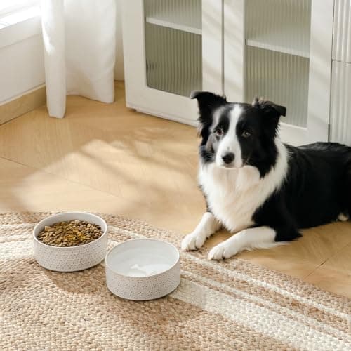 MALACASA Ceramic Dog Food Bowl, 3.5 Cups or 32oz Dog Food Water Dish for Mudium Breeds, Pet Bowl Dishwasher & Microwave Safe, Honeycomb, Series Lydia - Thumbnail 3