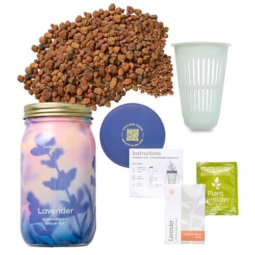 Modern Sprout Mason Garden Jar - Self-Watering Hydroponics Growing System Kit with Organic Herb Seeds - Jar Planter for Indoor Herb Garden - Seed Starter Kit - Home Decor & Gifting - Lavender - Image 1