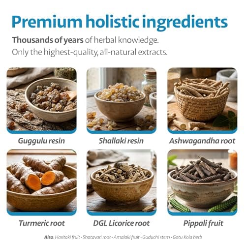 Ayourpets Hip and Joint Supplement for Dogs with Stiff Joints, Arthritis & Mobility – Natural Boswellia, Ashwagandha & Turmeric Herbal Holistic Support – Pork Flavor – 90 Count - Thumbnail 6