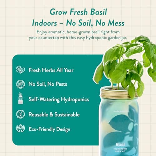 Modern Sprout Mason Garden Jar - Self-Watering Hydroponics Growing System Kit with Organic Herb Seeds - Jar Planter for Indoor Herb Garden - Seed Starter Kit - Home Decor & Gifting - Basil - Thumbnail 2