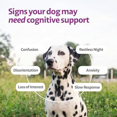 Ayourpets Senior Dog Brain & Cognitive Support Chews – Memory, Focus & Mental Clarity with Brahmi, Ashwagandha & Omega-3 – Ayurvedic Herbal Formula – Fish Flavor – 90 Count - Thumbnail 4