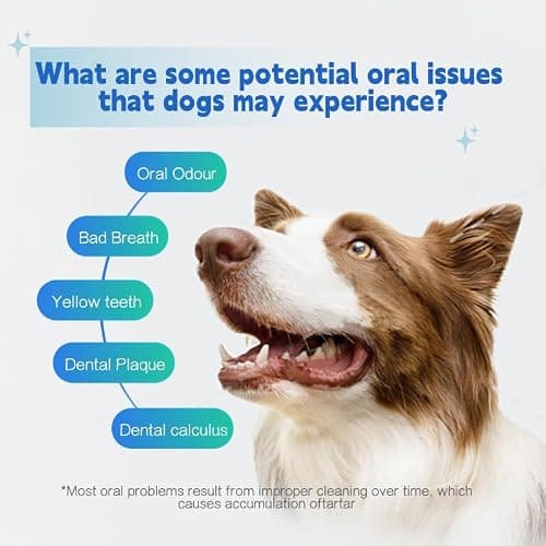Dr.vet Dog Dental Chews, Dog Dental Sticks for Plaque and Tartar Remover for Dogs, Dog Breath Freshener and Teeth Cleaning Treats, Rawhide Free Dog Chews for Small Breed Dog Treats, 100g (7 Sticks) - Thumbnail 6