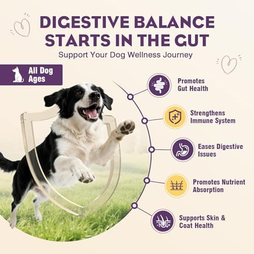 TTLXRL Probiotics for Dogs 200pcs Dog Probiotics for Digestive Health Digestive Enzymes and Prebiotic, Probiotic Chews for Dogs Support Gut Health, Relieve Diarrhea, Itchy Skin, Enhance Immunity - Thumbnail 2