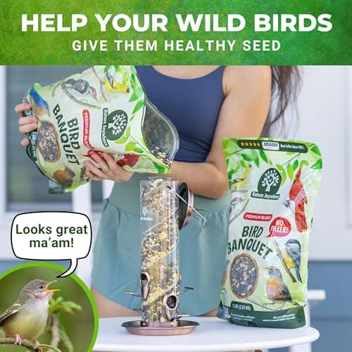 Nature Anywhere Bird Seed Bird Banquet Bird Seed for Outside Feeders, Wild Bird Seed, Bird Food, No Fillers, Made in USA, Wild Bird Food Blend - Thumbnail 5