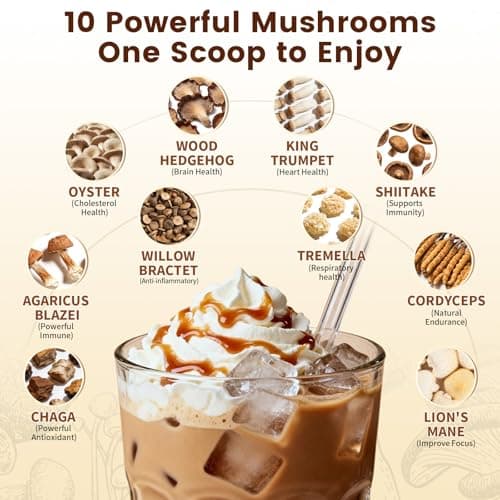 Catfit Instant Mushroom Coffee Powder, 10-in-1 Adaptogen Blend with Lion's Mane, Chaga & Cordyceps for Energy, Focus, Gut Health & Immune Support -50 Servings - Thumbnail 3