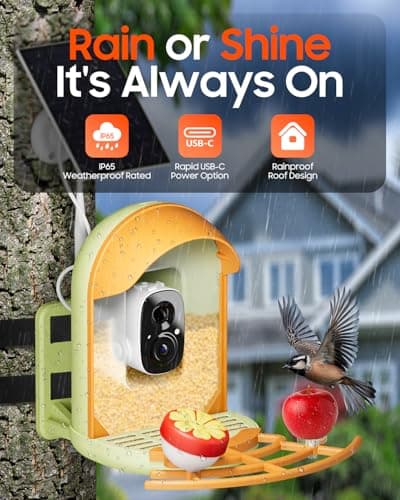 Bird Feeder with Camera, Smart Birdfeeder with Cam Solar Powered, 2K HD Video, AI Identification, Instant Arrival Alerts, IP66 Bird Bath & Feeder,Gift for BirdLover (with Stand, Green) - Thumbnail 6