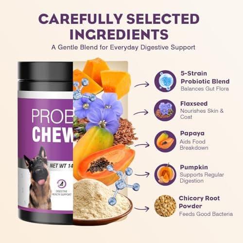 TTLXRL Probiotics for Dogs 200pcs Dog Probiotics for Digestive Health Digestive Enzymes and Prebiotic, Probiotic Chews for Dogs Support Gut Health, Relieve Diarrhea, Itchy Skin, Enhance Immunity - Thumbnail 3