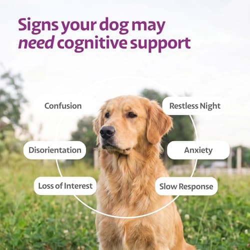 Ayourpets Senior Dog Brain & Cognitive Support Chews – Memory, Focus & Mental Clarity with Brahmi, Ashwagandha & Omega-3 – Ayurvedic Herbal Formula – Fish Flavor – 90 Count - Thumbnail 4