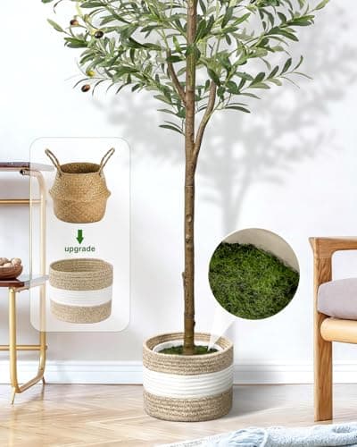 LuceAlberi 6FT Artificial Olive Tree - Indoor Tall Faux Olive Trees with Planter&Basket, Large Fake Olive Silk Tree Realistic Olive Plants with Branches and Fruits for Home Decor Office Living Room - Thumbnail 3