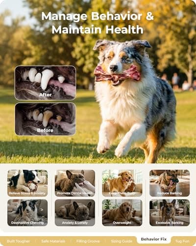 ChienBox Dog Toys for Aggressive Chewers: Gift Box with 3 Pack Dog Chew Toys, Indestructible Dog Toy for Large Dogs Birthday Toy, Tough Dog Toys to Keep Them Busy, Chew Toys for Dogs,Bacon Flavor - Thumbnail 6