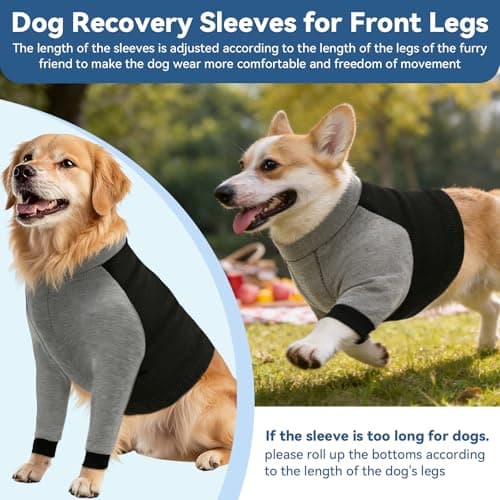 Dog Surgery Recovery Sleeve for Front Leg, Soft Post-Surgery Pet Recovery Suit, Zippered Long-Sleeve Dog Shirt to Stop Licking and Protect Leg or Shoulder Wounds, Cone Alternative (Medium) - Thumbnail 3