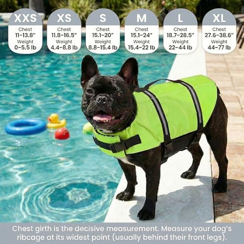 Doglay Dog Life Jacket with Rescue Handle, Dog Life Vest for Swimming Boating, Adjustable Reflective Puppy Swim Vest with Superior Buoyancy for Small Medium Large Dogs - Thumbnail 2